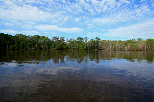 Altamaha River
