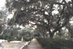 Bonaventure Cemetery