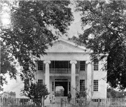 Cedar Grove Plantation