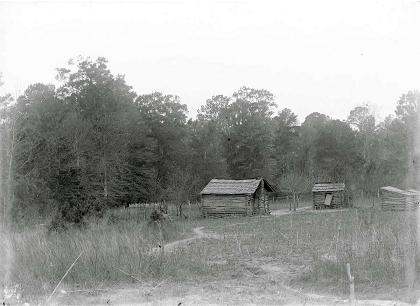 Slave Cabins on Cedar Grove Plantation