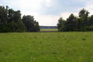 Harris Neck