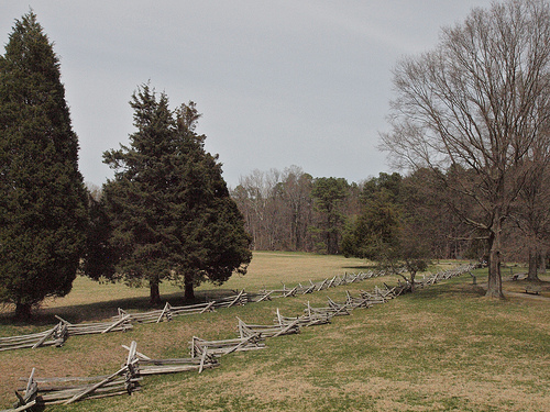 Surrender Field